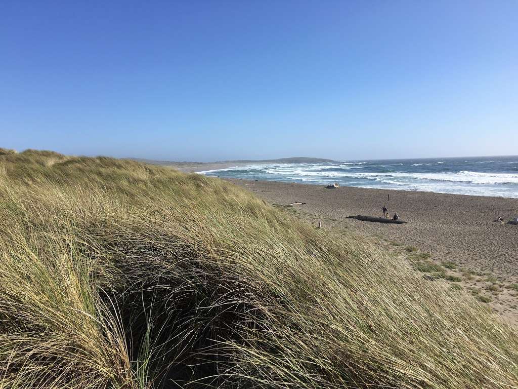 Bodega Dunes Beach | Salmon Creek, Jenner, CA 95450, USA