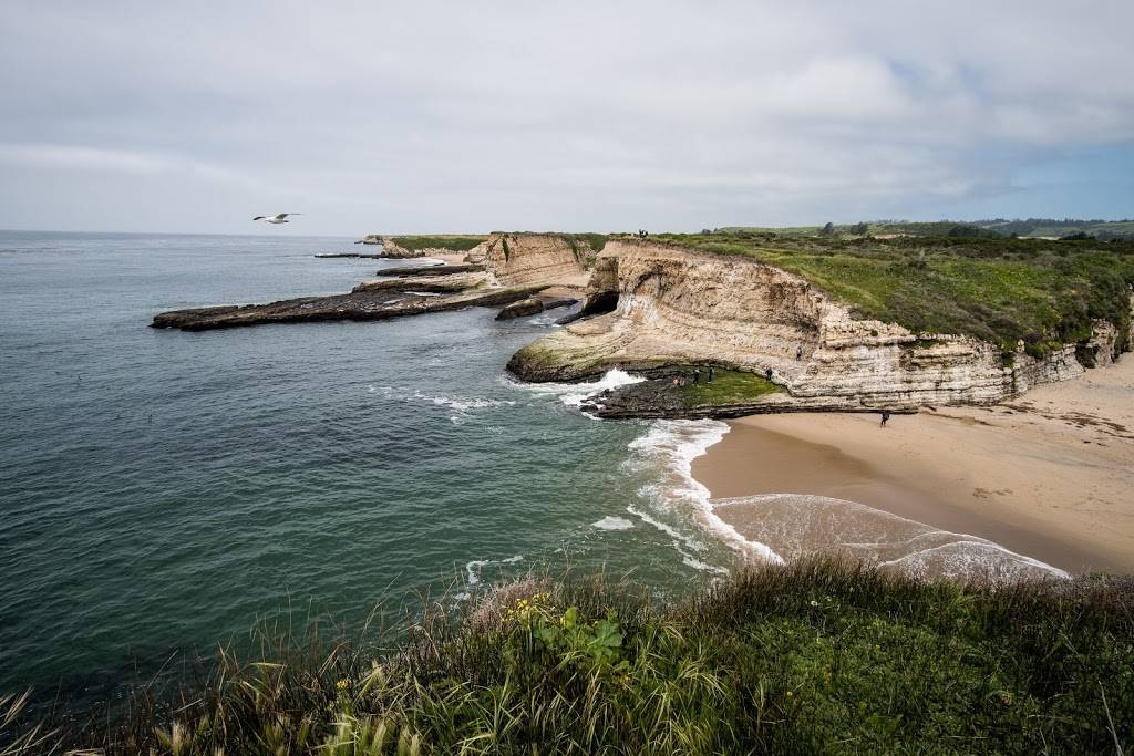 Fern Grotto Beach | Santa Cruz, CA 95060, USA | Phone: (831) 423-9703