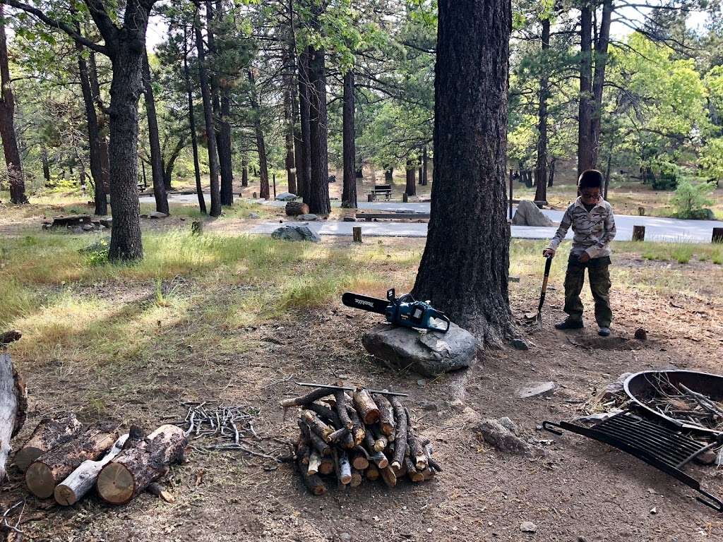 Mountain Oak Campground | 22223 Big Pines Hwy, Valyermo, CA 93563, USA | Phone: (760) 249-3526