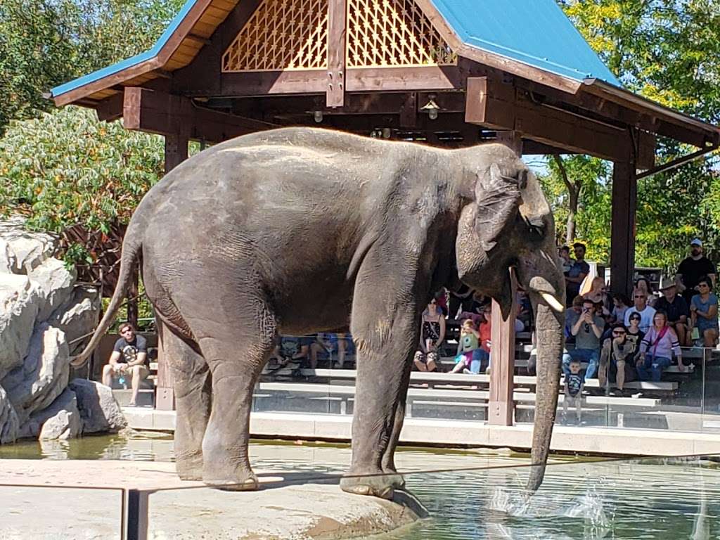 Denver Zoo | 2300 Steele St, Denver, CO 80205, USA | Phone: (720) 337-1400