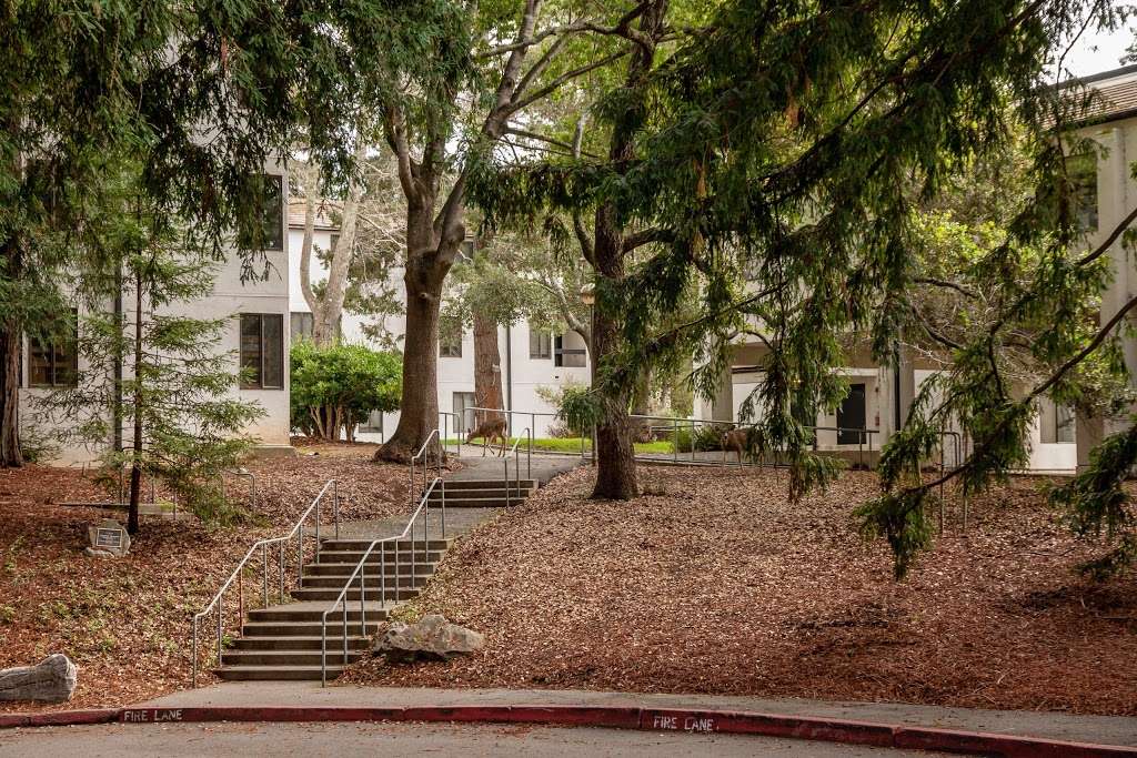 Stevenson College | 1156 High St, Santa Cruz, CA 95064