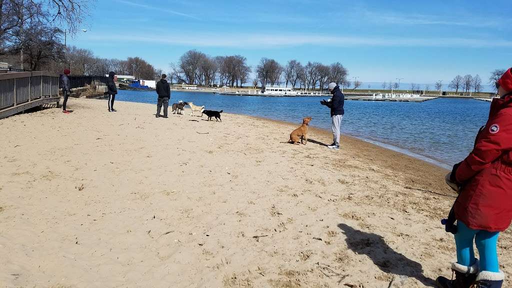 Belmont Harbor Dog Beach | N Lake Shore Dr & Lake Shore Drive Dr, Chicago, IL 60657, USA | Phone: (312) 742-7529