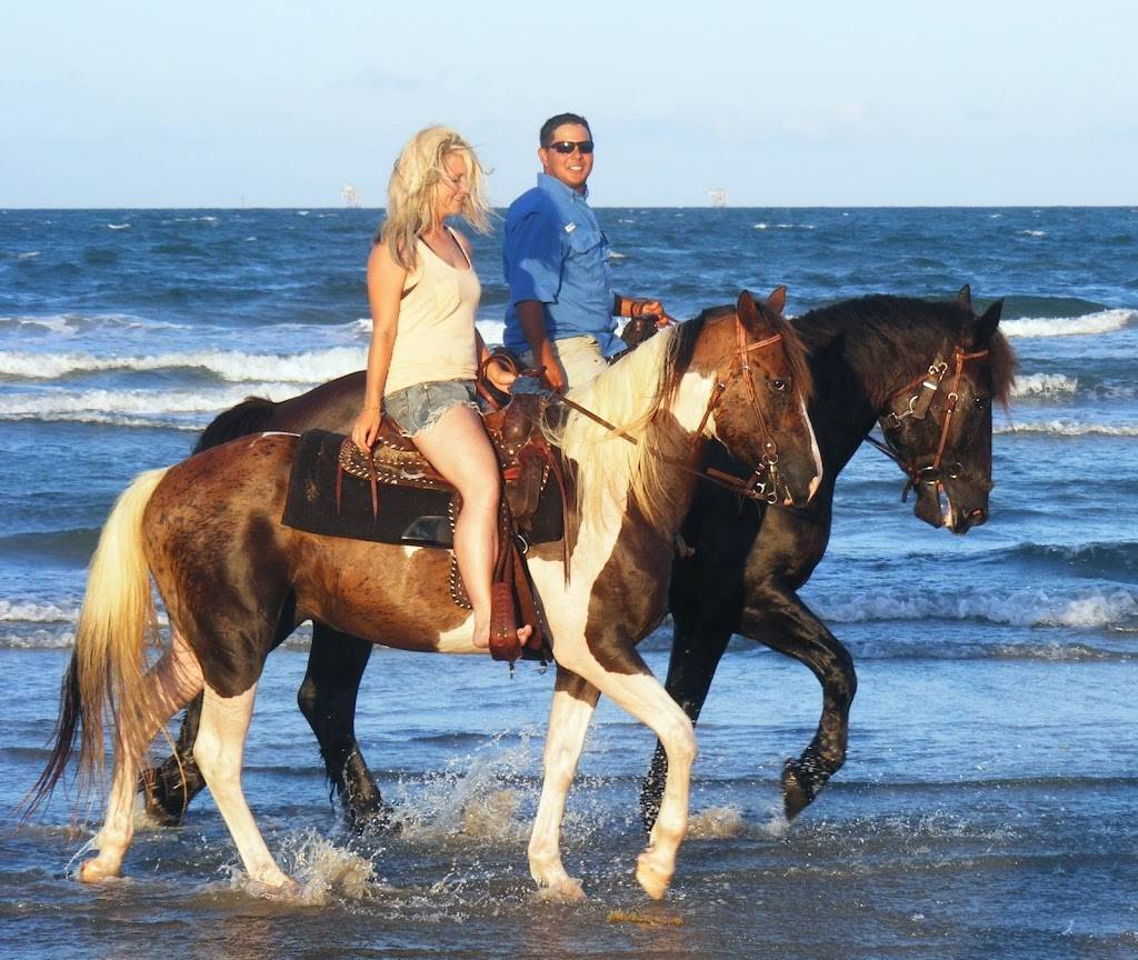 Horses on the Beach | 16562 S Padre Island Dr, Corpus Christi, TX 78418, USA | Phone: (361) 949-4944