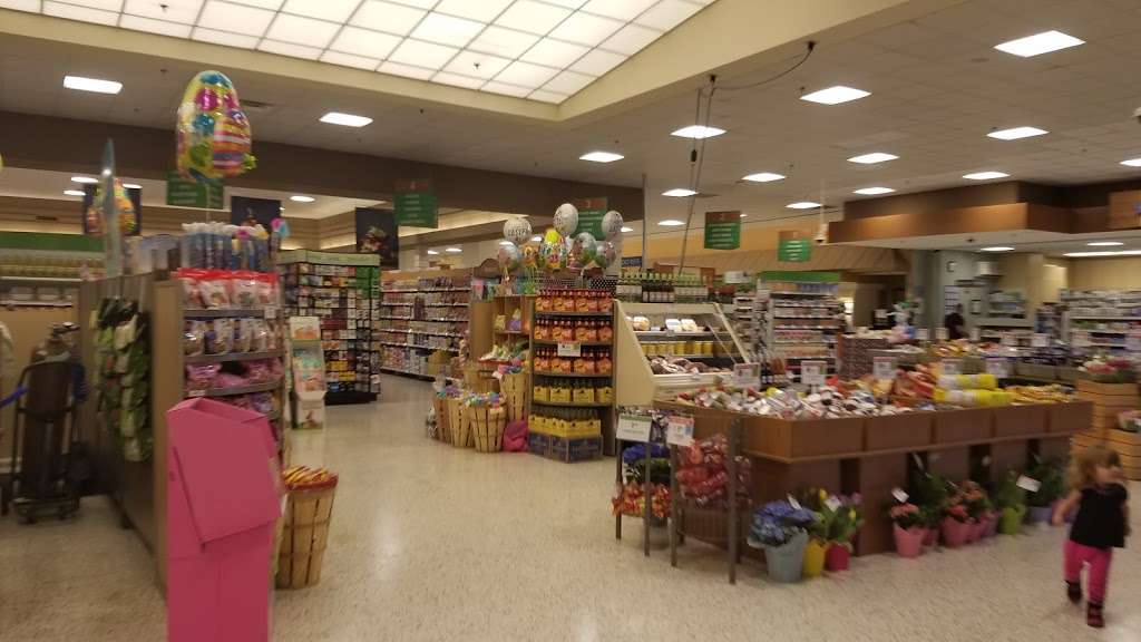 Publix Super Market at Belleview Commons | 10135 US-441, Belleview, FL 34420, USA | Phone: (352) 245-4115