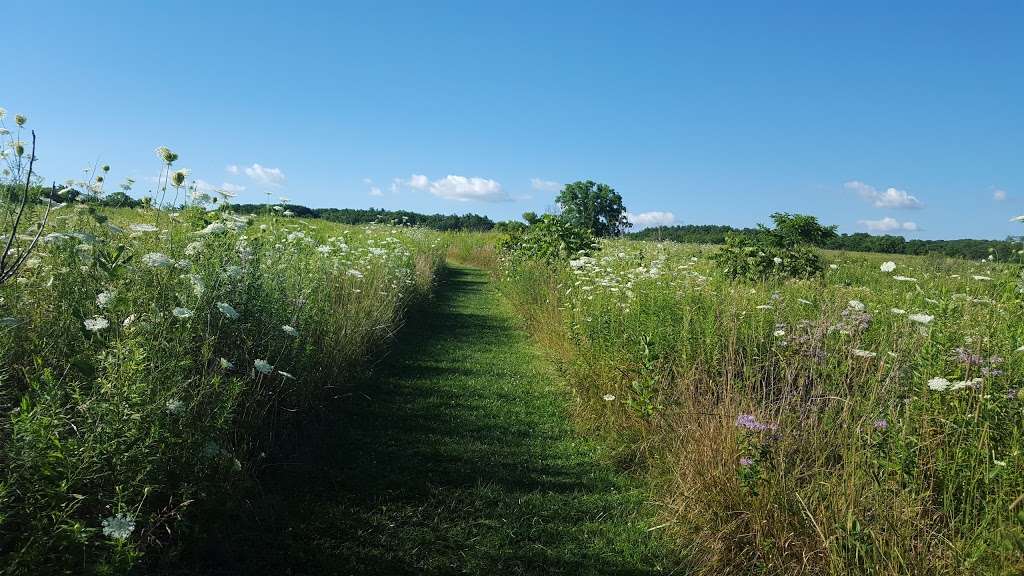 Marengo Ridge Conservation Area | 2411 N, IL-23, Marengo, IL 60152, USA | Phone: (815) 338-6223