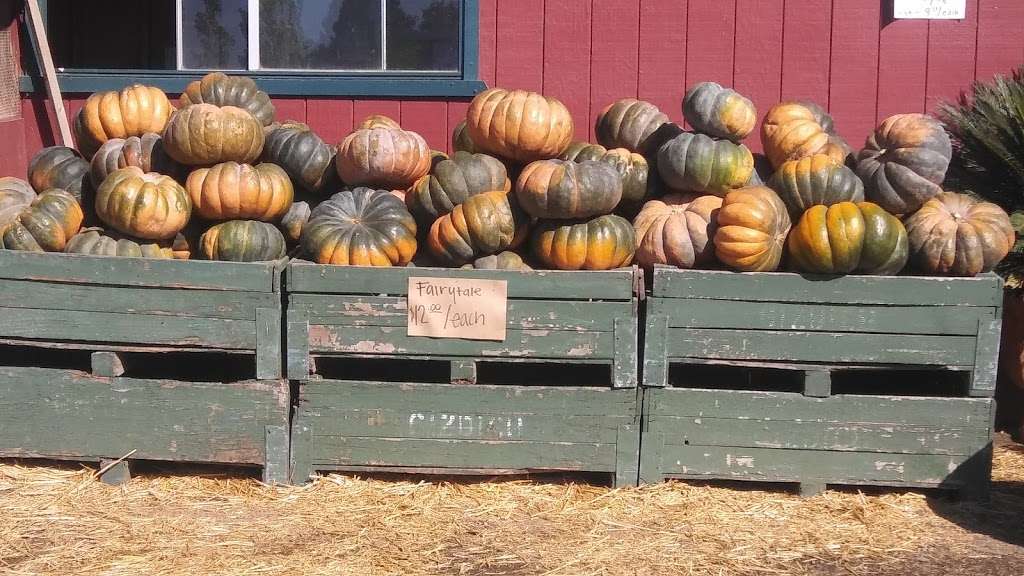 Larrys Produce | 4606 Suisun Valley Rd, Fairfield, CA 94534, USA | Phone: (707) 864-8068