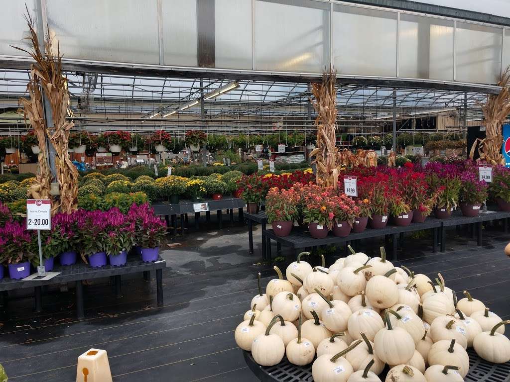 Stauffers of Kissel Hill Home & Garden Store - East York Locatio | 4450 Lincoln Hwy, York, PA 17406, USA | Phone: (717) 840-4026