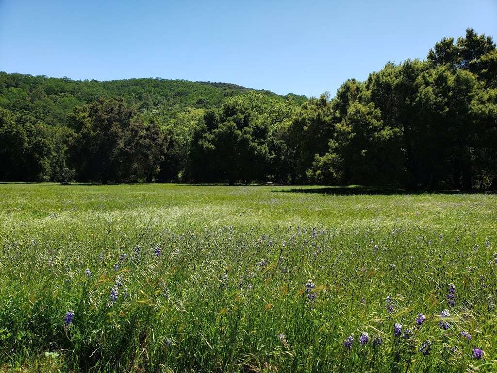 Rancho Cañada del Oro Open Space Preserve | 4289 Casa Loma Rd, Morgan Hill, CA 95037, USA | Phone: (408) 224-7476