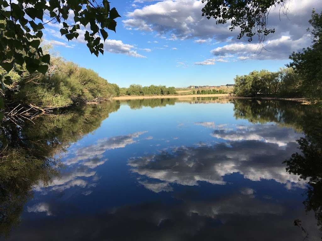 Bluff Lake Nature Center | 3400 Havana Way, Denver, CO 80238, USA | Phone: (720) 708-4147