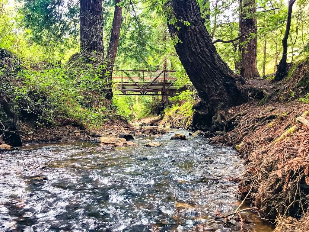 Purisima Creek Open Space North Parking Lot | 13184 Skyline Blvd, Redwood City, CA 94062, USA