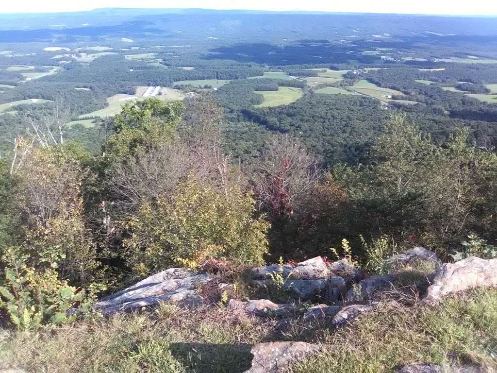 Sideling Hill State Forest Picnic Area | 2371 Lincoln Hwy, Breezewood, PA 15533