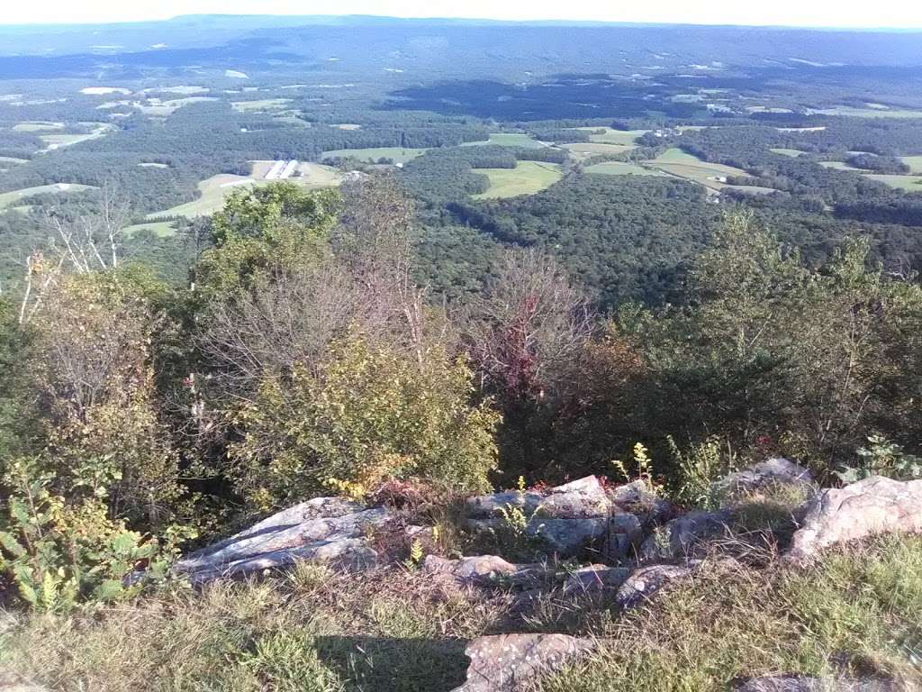 Sideling Hill State Forest Picnic Area | 2371 Lincoln Hwy, Breezewood, PA 15533, USA