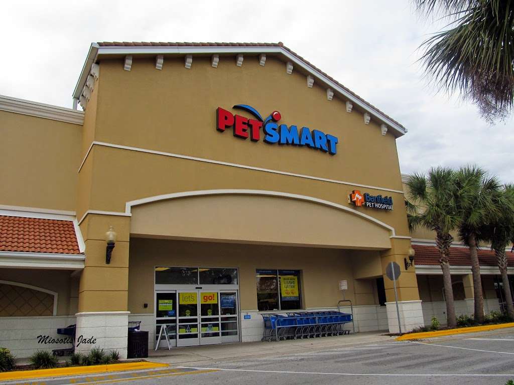 PetSmart | 9585 W Colonial Dr, Ocoee, FL 34761 | Phone: (407) 297-8110