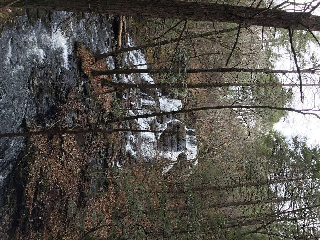 Hornbecks Trail | Hornbecks Creek, 18328, Dingmans Ferry, PA 18328, USA