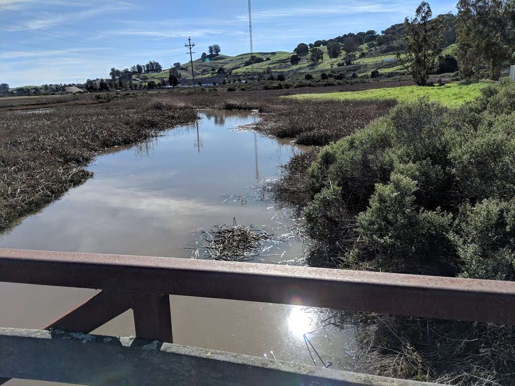 Petaluma Marsh | 745 Baywood Dr, Petaluma, CA 94954, USA