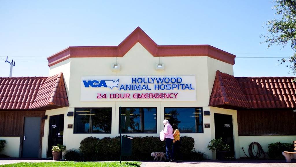 VCA Hollywood Animal Hospital | 2864 Hollywood Blvd, Hollywood, FL 33020, USA | Phone: (954) 920-3556