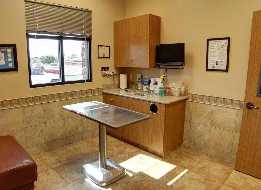 Adobe Veterinary Clinic | 6454 E Main St, Mesa, AZ 85205, USA | Phone: (480) 832-2240
