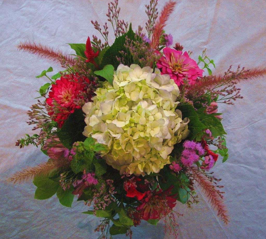 Froggys Garden Flowers | 1112 Roundhouse Rd, Kintnersville, PA 18930, USA | Phone: (610) 608-6833