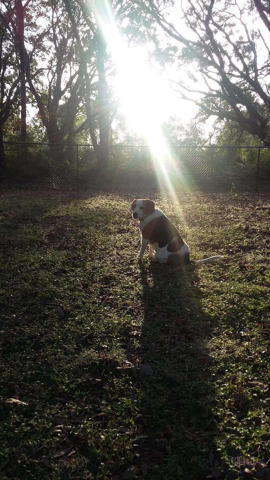 P.E.A.R. Park "Gateway" | 26701 US-27, Leesburg, FL 34748, USA | Phone: (352) 253-4950