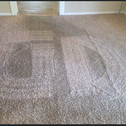 Great Day Carpet & Tile Cleaning of Desoto Country MS | 4306 Dockery Drive, Olive Branch, MS 38654, USA | Phone: (901) 314-3551