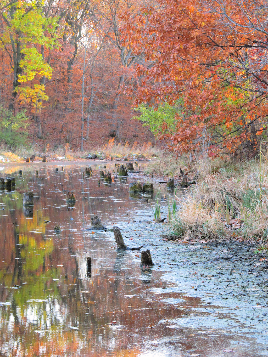 Three Ponds Park | 5350 Union Terrace Ln N, Minneapolis, MN 55442, USA | Phone: (763) 509-5000