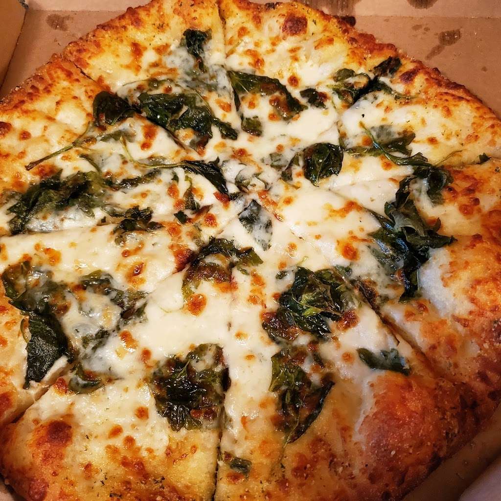 Dominos Pizza | 1231 Ariana St, Lakeland, FL 33803, USA | Phone: (863) 777-5035