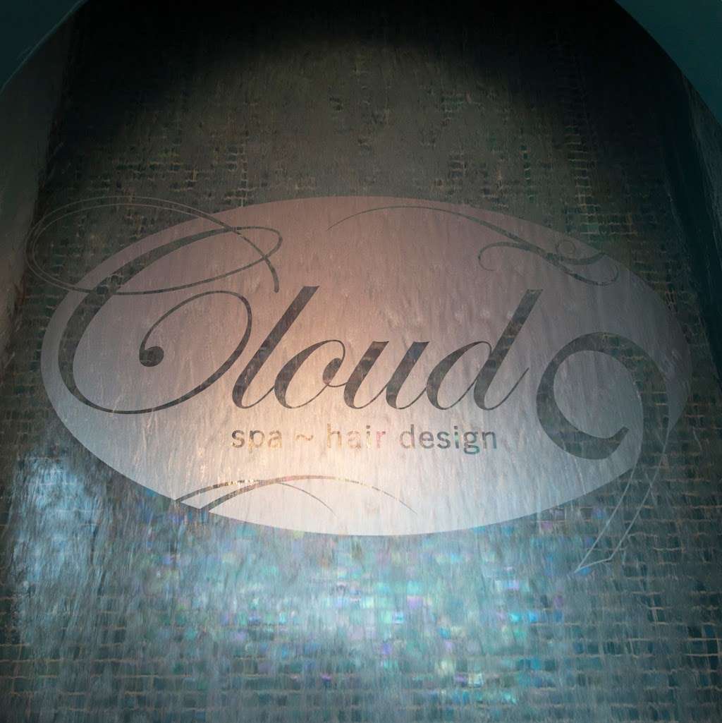 Cloud 9 Spa & Hair Design | 14753 Hazel Dell Crossing #300, Noblesville, IN 46062, USA | Phone: (317) 569-9620