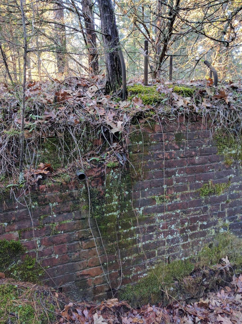 Historic Harrisville Ghost Town Ruins | Chatsworth, NJ 08019