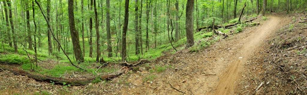Green Trail | Unnamed Road, Germantown, MD 20874, USA