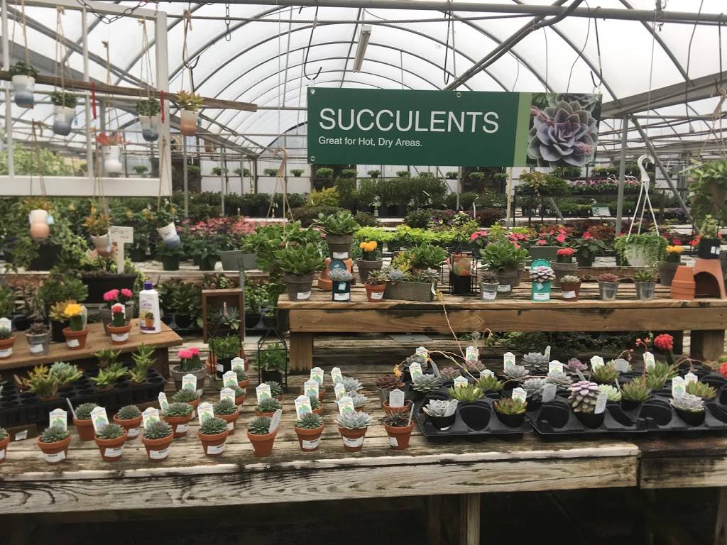 Fairview Garden Center | 8224 Holly Springs Rd, Raleigh, NC 27606, USA | Phone: (919) 851-6821