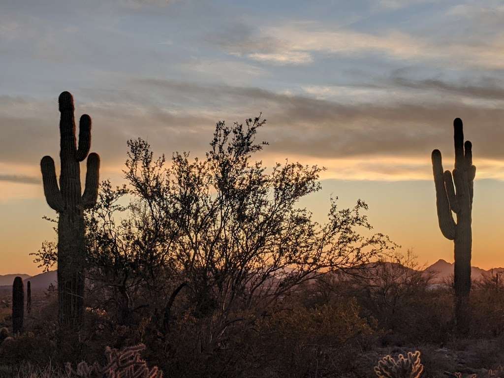 McDowell Sonoran Preserve | 18333 N Thompson Peak Pkwy, Scottsdale, AZ 85260 | Phone: (480) 998-7971