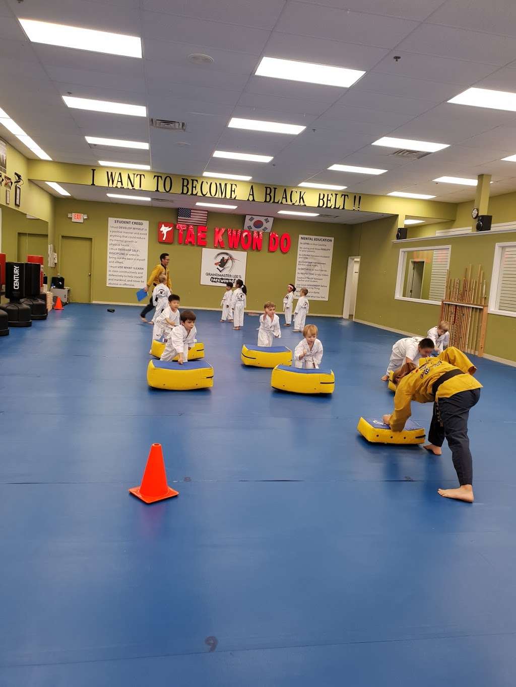 Grandmaster Lees TaekwonDo | 13642 N Meridian St, Carmel, IN 46032, USA | Phone: (317) 569-9934