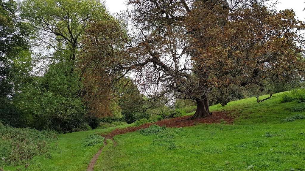 Squerryes Park (Common) | Westerham TN16 1SJ, UK