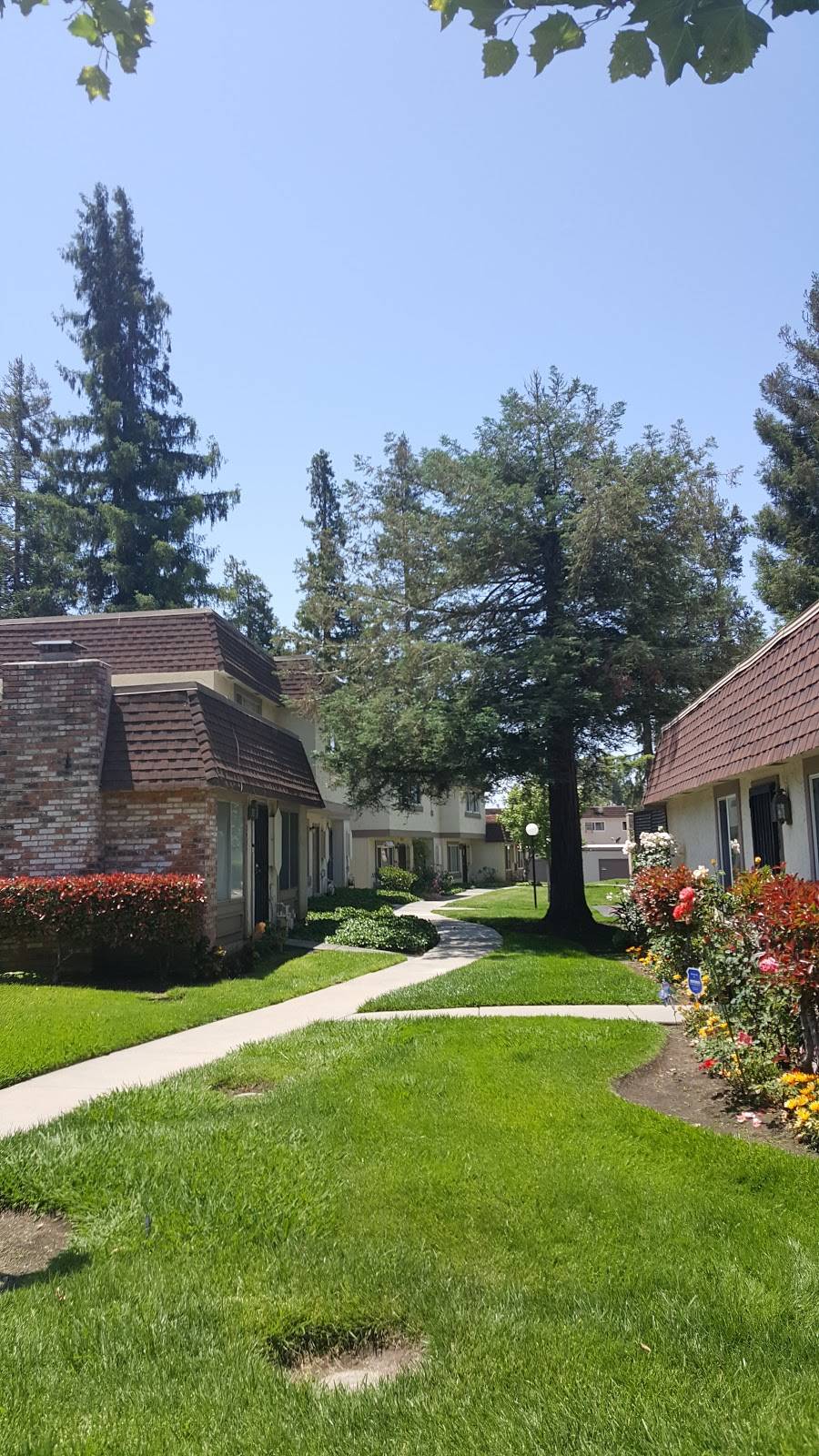 Berryessa Creek Park | 1855 Majestic Way, San Jose, CA 95132 | Phone: (408) 535-3570