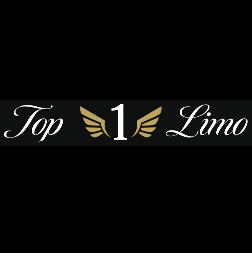 Top Long Valley Limo | 5 W Mill Rd, Long Valley, NJ 07853, USA | Phone: (973) 668-0858