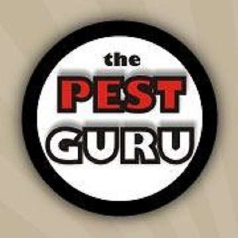 The Pest Guru | 16202 FM 362, Waller, TX 77484, USA | Phone: (281) 783-3113