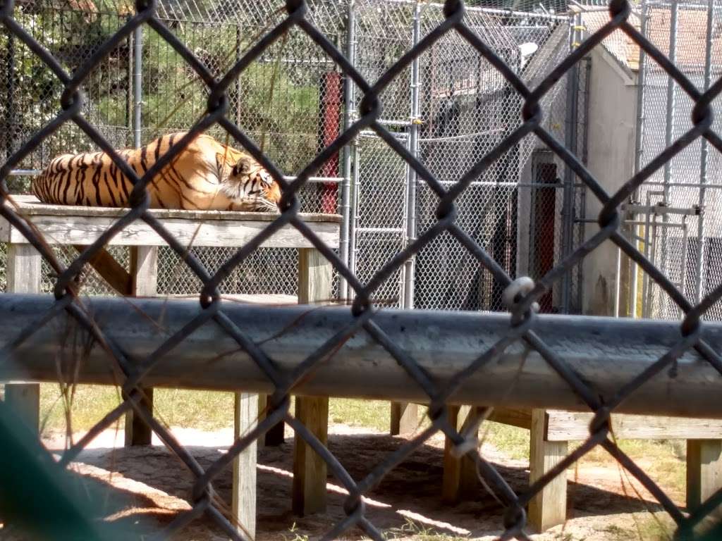 Popcorn Park Zoo | 1 Humane Way, Forked River, NJ 08731, USA | Phone: (609) 693-1900
