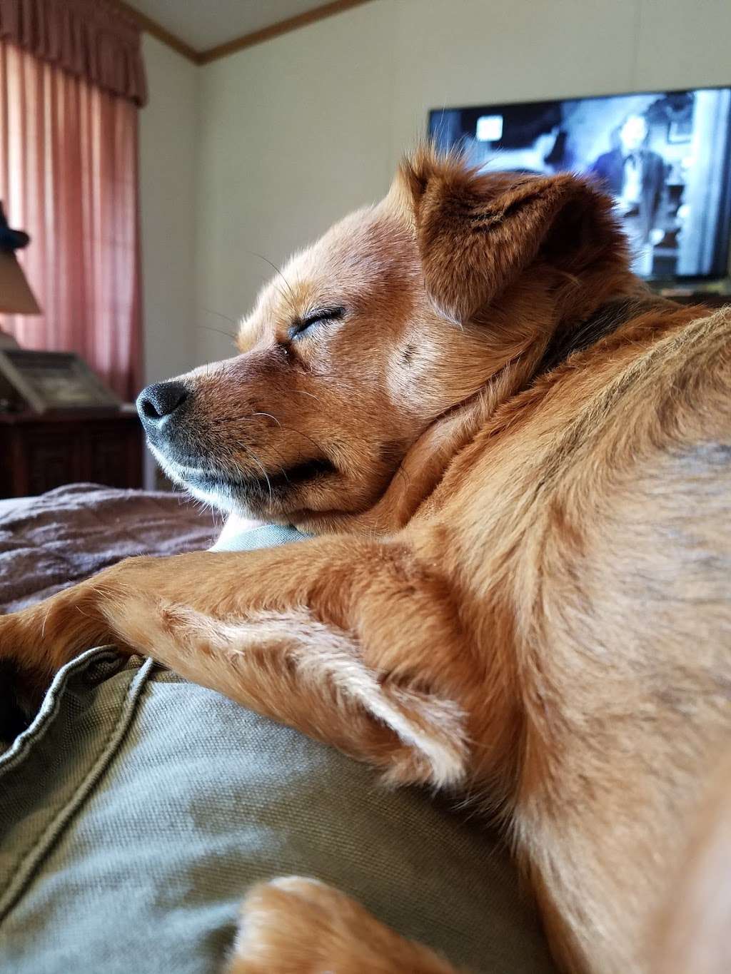 Bloomington Veterinary Hospital in 115 N Smith Rd, Bloomington, IN