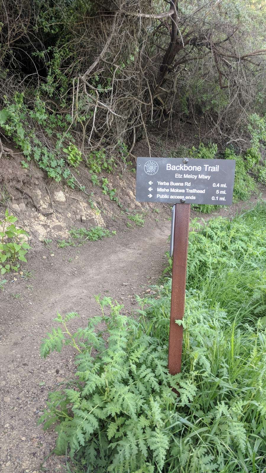 Backbone Trail Trailhead - Mulholland | Backbone Trail, Malibu, CA 90265