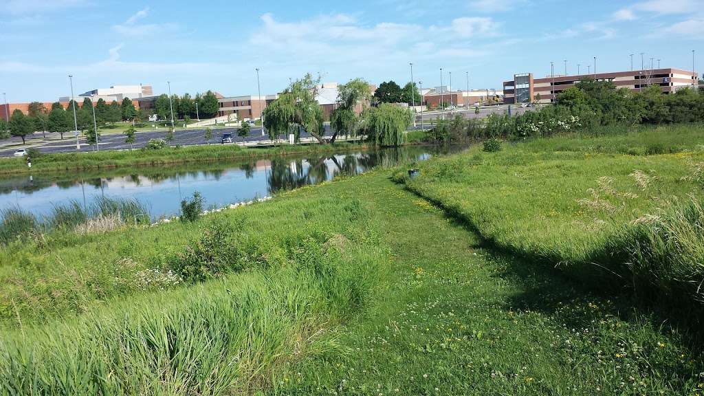 Plum Grove Reservoir Park | Palatine, IL 60067, USA