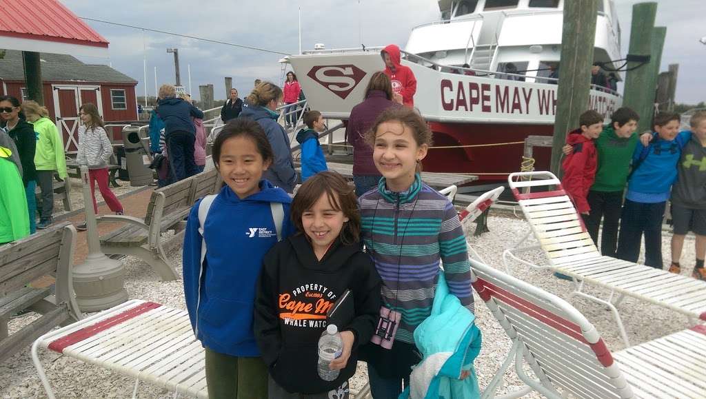 Miss Chris Marina and Kayaks | 1212 Wilson Dr, Cape May, NJ 08204, USA | Phone: (609) 884-3351