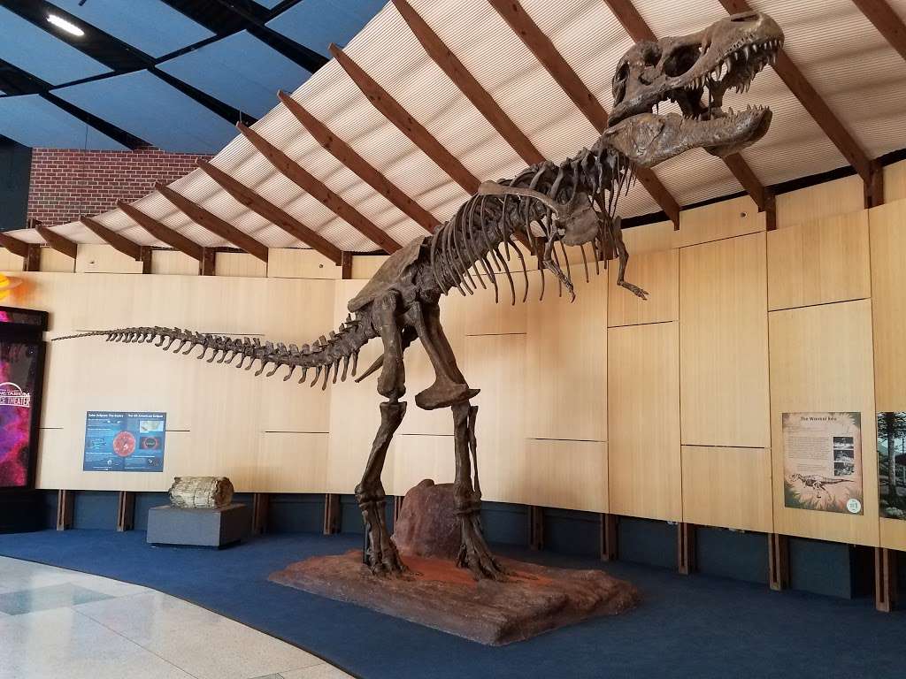 The Schiele Museum of Natural History & Planetarium | 1500 E Garrison Blvd, Gastonia, NC 28054, USA | Phone: (704) 866-6908