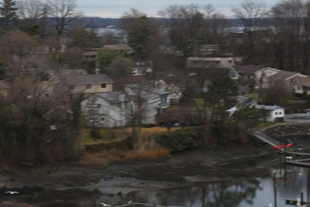 Titus Mill Pond State Tidal Wetlands | New Rochelle, NY 10805