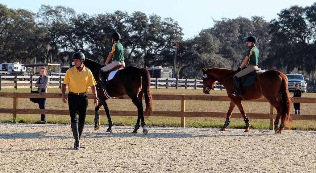 Dream Horse Equestrian Center | 22440 FL-44, Eustis, FL 32736, USA | Phone: (352) 636-4829