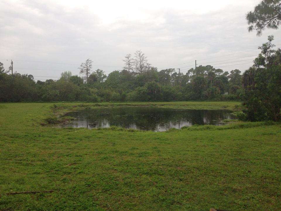 Shady Acres Stables | 14970 Gruber Ln, Loxahatchee Groves, FL 33470 | Phone: (561) 398-0447