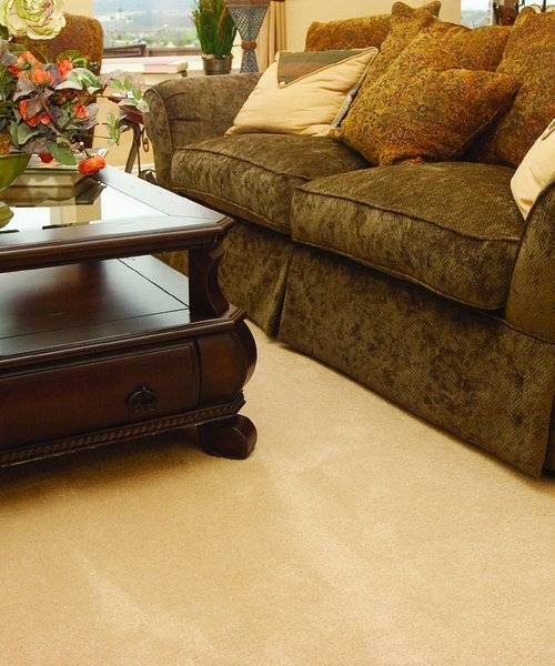 Raleigh Chem-Dry Carpet Cleaning | 1017 Cedar Knoll Dr, Wake Forest, NC 27587 | Phone: (919) 980-4569