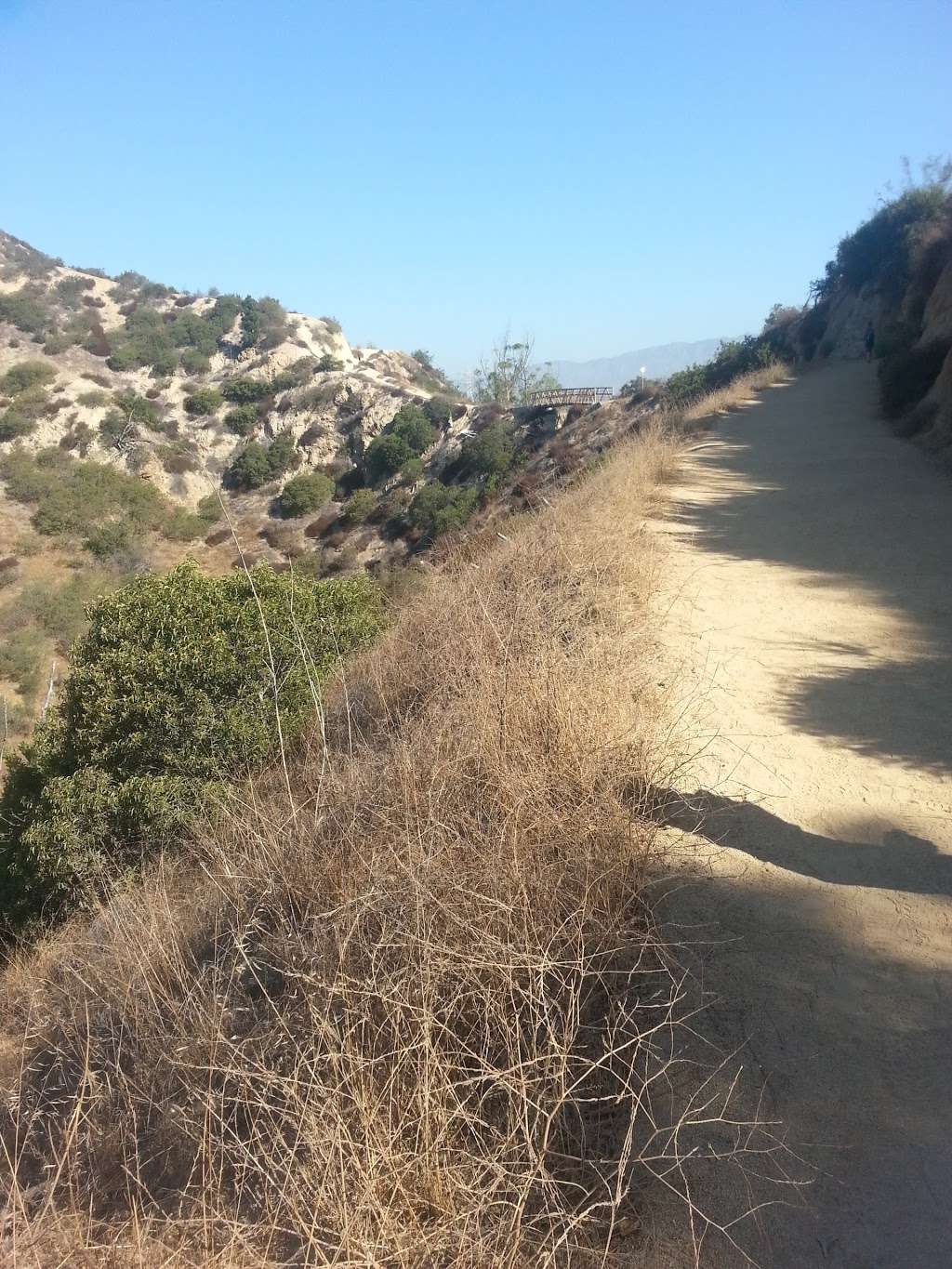 Glendale Peak Trail Head | 2715 N Vermont Canyon Rd, Los Angeles, CA 90027, USA