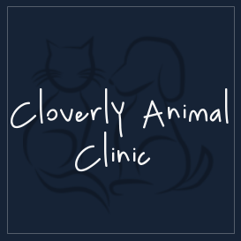 Cloverly Animal Clinic PC | 15549 New Hampshire Ave, Silver Spring, MD 20905, USA | Phone: (240) 650-5427