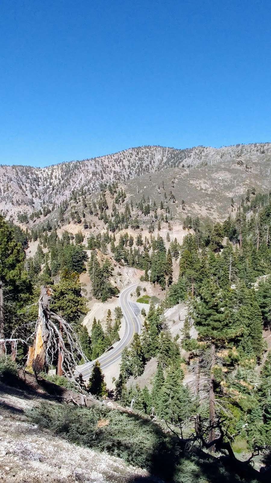 Windy Gap Trail | Windy Gap Trail, Azusa, CA 91702, USA