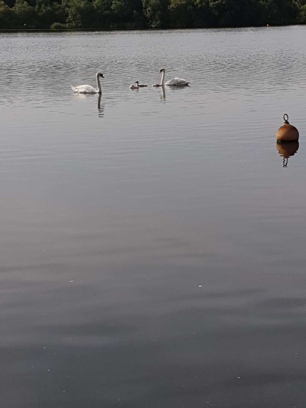 Welsh Harp (aka Brent Reservoir) | London NW2 7TD, UK